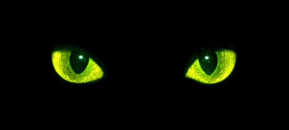 ic: https://www.deviantart.com/klechaw/art/Cat-Eyes-146743559