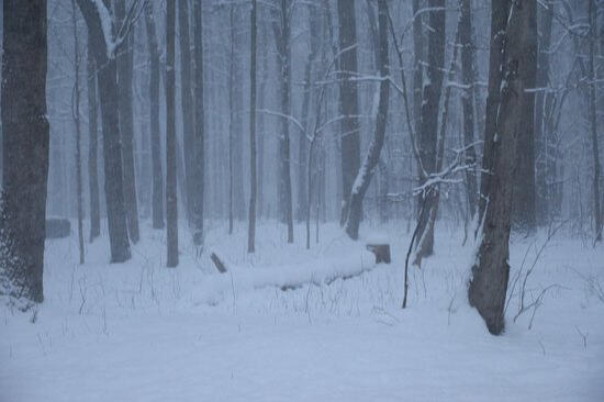 ic: https://www.tripadvisor.com/LocationPhotoDirectLink-g29929-d4817373-i239884731-ANDOVER_PYMATUNING_LAKE_KOA-Andover_Ohio.html